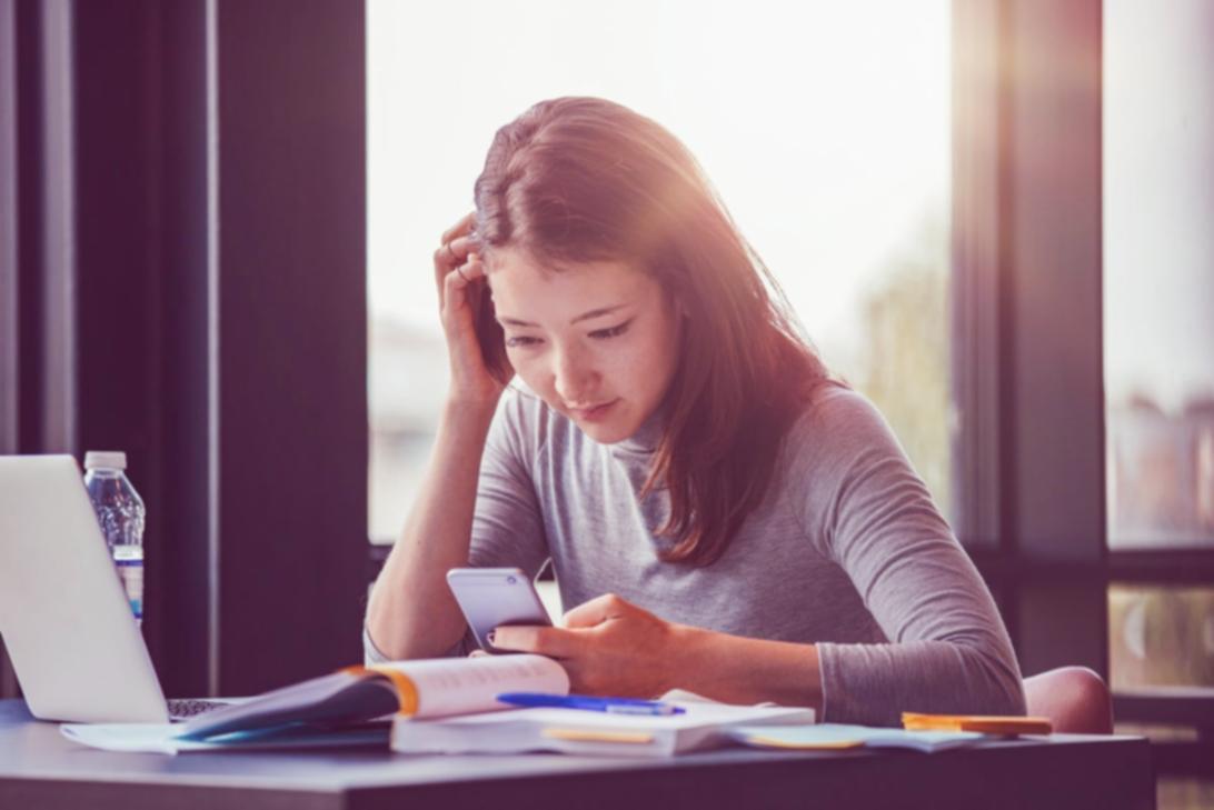 Programme de formation en stratégies de link building